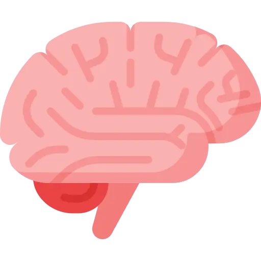 Brain icon representing emotional well-being coaching, mental wellness, and stress management